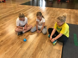 STEM PROJECT ONE