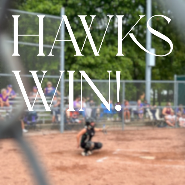 hawks win